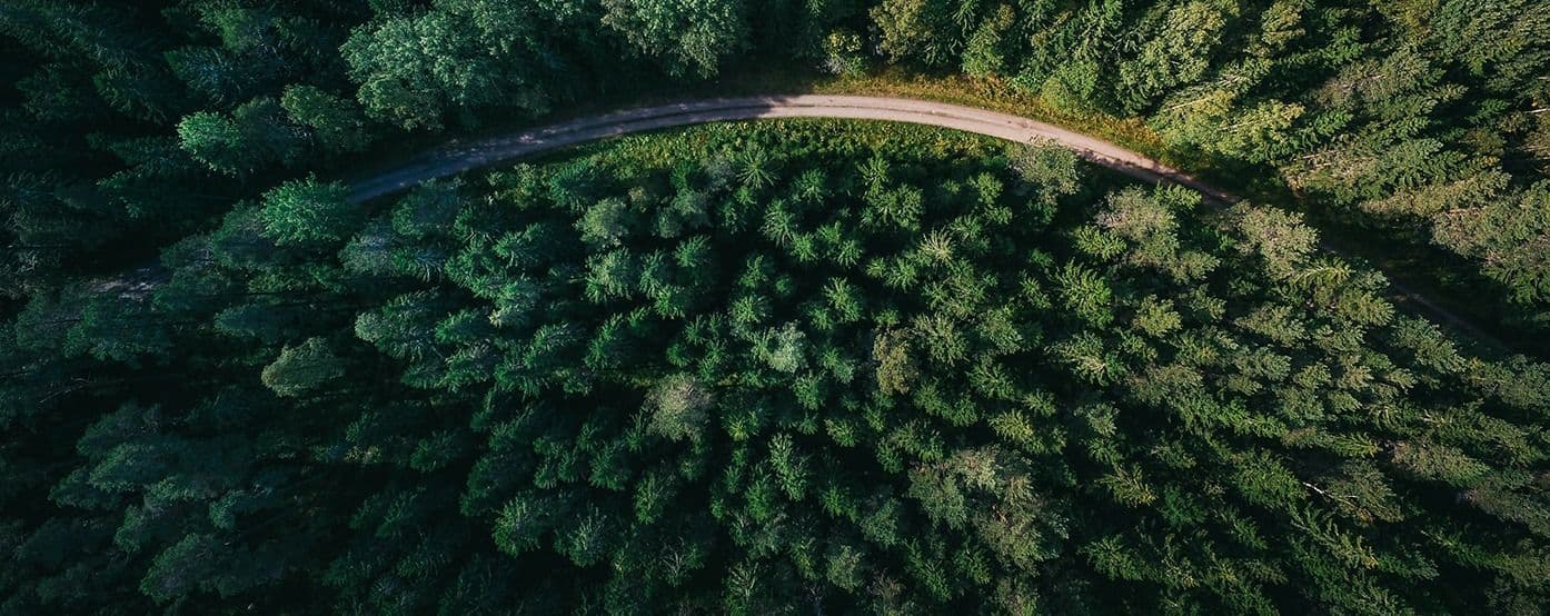 Aerial view of a road winding through dense forest